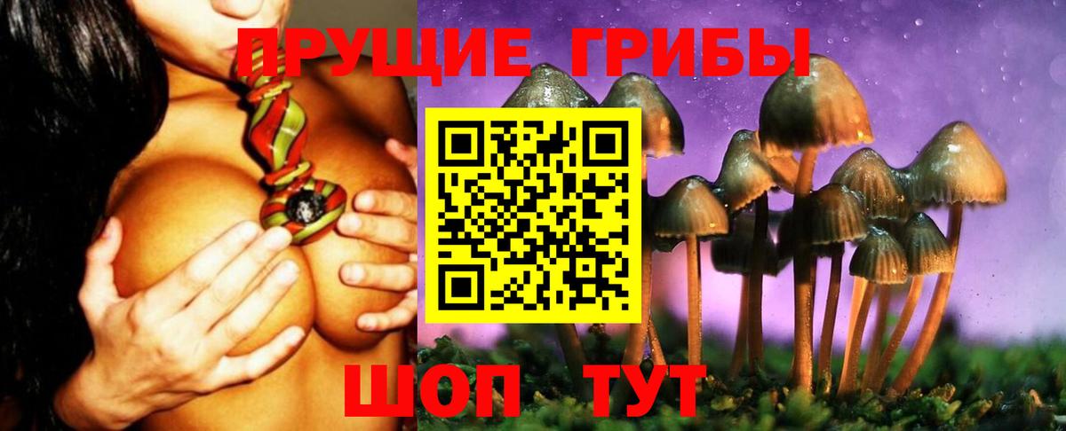 Ижевск  продажа наркотиков  Вход с VPN  Галлюциногенные грибы MAGIC MUSHROOMS 